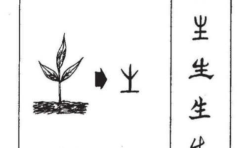 羊奶粉的功效和禁忌-羊奶粉的正确配方和功效-专业羊奶粉的功效与作用价格平台-羊奶粉配方表